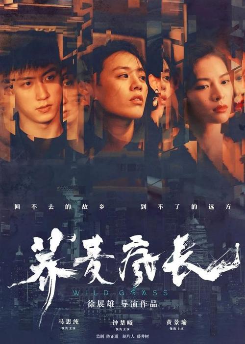 怎么买都柏林设计学院文凭